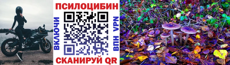 Галлюциногенные грибы GOLDEN TEACHER  Сковородино 